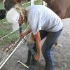 SHOEING MY OWN HORSES