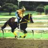 PACIFIC SQUALL SANTA ANITA PARK 1993