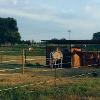 20 X 80 PADDOCKS WITH SHELTER