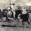 DOCS HANGING TREE1990 HIGH SCHOOL RODEO